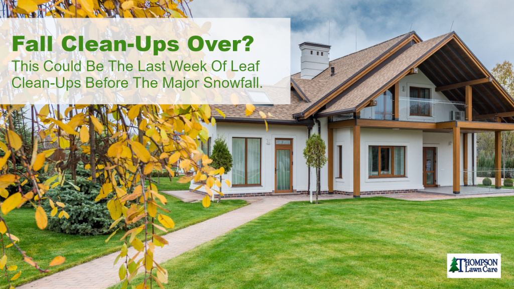 lawncare facebook ad